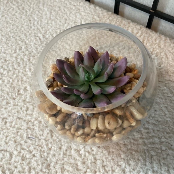 Faux Fake Echeveria Succulent Indoor Decoration House Plant Green Purple - Picture 1 of 5